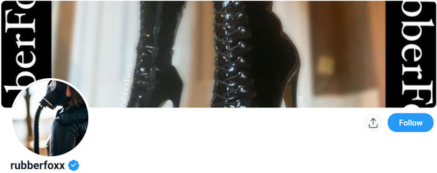 RubberFoxx/Images/logofy.png
