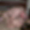 trueamateurmodels part-12/nikki_hc_01/2000watermarked