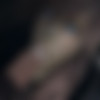 pockYin - Patreon Rewards/Loops/Final Fantasy/Claire Farron - Blowjob at Night