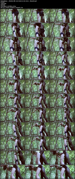 thedongkinger - Manyvids/Screens/thedongkinger_-_Obedient_BBC_slut_fucked_in_the_forest_-_Manyvids.mp4.jpg