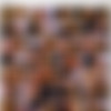 TGirl X - Grooby - split.scenes