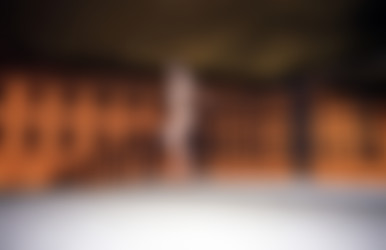 NiR-2024-04-06 - Mina - New Girl - Just Refined 20 Years After - Moscow at night/ (25).jpg