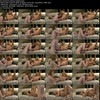 siswet19 March 2017 Update thumbnail