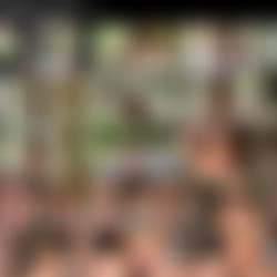 [OnlyFans] Ms Petra Petrova - Naked in Silent Hill