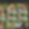 AliceFox000 3/Новая папка