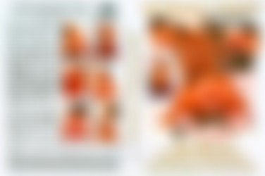 The Best Of Sandra Romaine 1/2.jpg