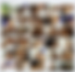 Candy/2007-07-17 - Extreme Ladyboys - Candy.jpg