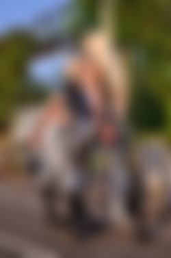 Spandex-Bondage.com - Photos (250-294)/250/250sb_013.jpg