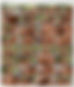 Poolside Bang Trans.Angels Split.Scenes/2 th 4.jpg