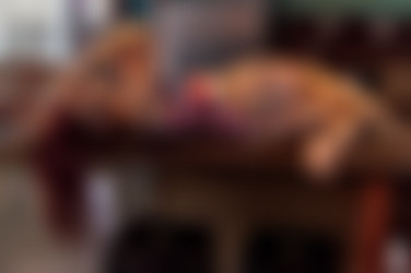 2019-11-15 Xcarol - Donut's Punk's/29.jpg