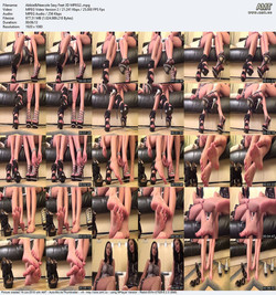 Foot Fetish/3D/Screens/Abbie&Neecole Sexy Feet 3D MPEG2..mpg.jpg