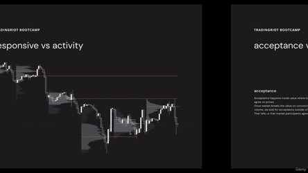 Tradingriot Bootcamp Market trading research and more/5 - Chapter 4 – Auction market theory/15 - Auction market theory.mp4