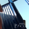 [Hidden-zone.com] Beach Super Star № 39-50 thumbnail