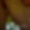 Voyeur