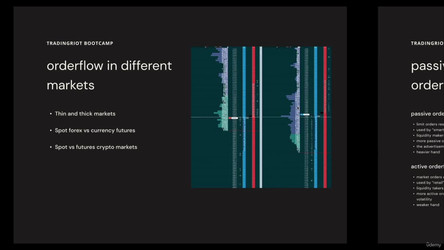 Tradingriot Bootcamp Market trading research and more/4 - Chapter 3 – Orderflow/11 - Understanding orderflow.mp4
