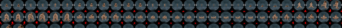 ARPORN_influencer_gone_wild_8K_FISHEYE190_alpha.mp4 screencaps